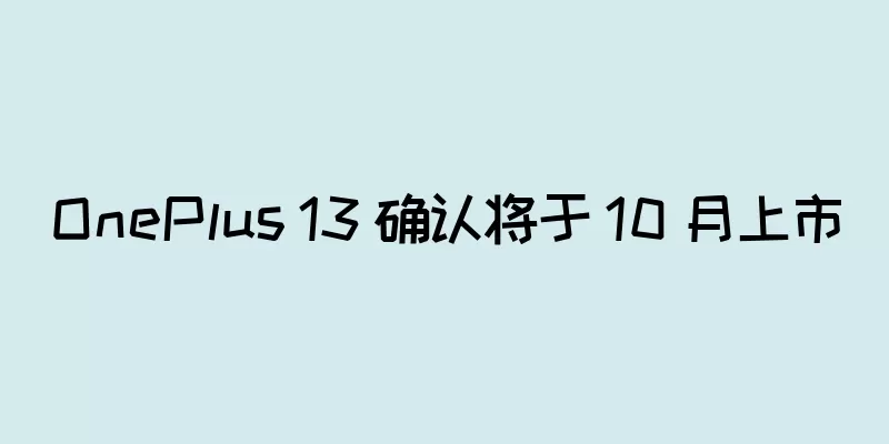 OnePlus 13 确认将于 10 月上市